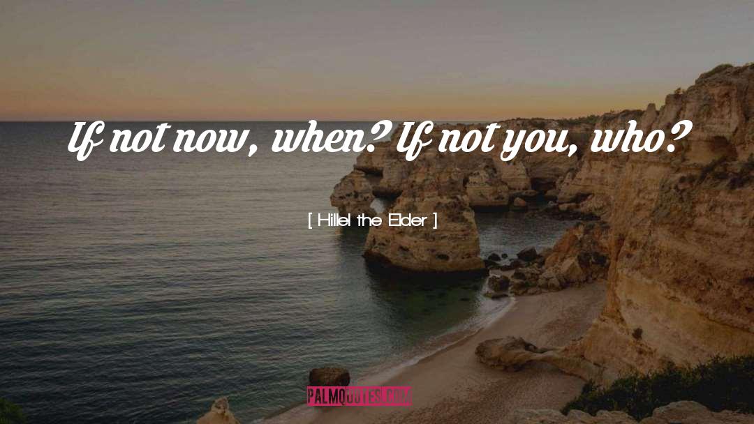 Hillel The Elder Quotes: If not now, when? If