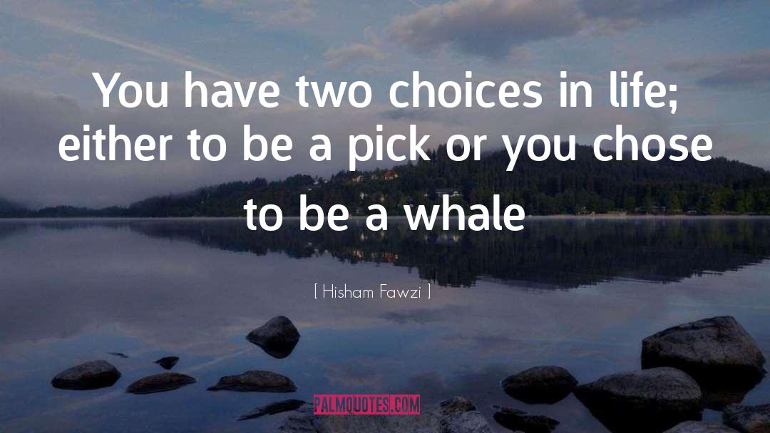 Hisham Fawzi Quotes: You have two choices in