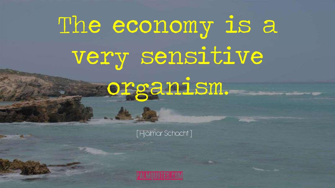 Hjalmar Schacht Quotes: The economy is a very