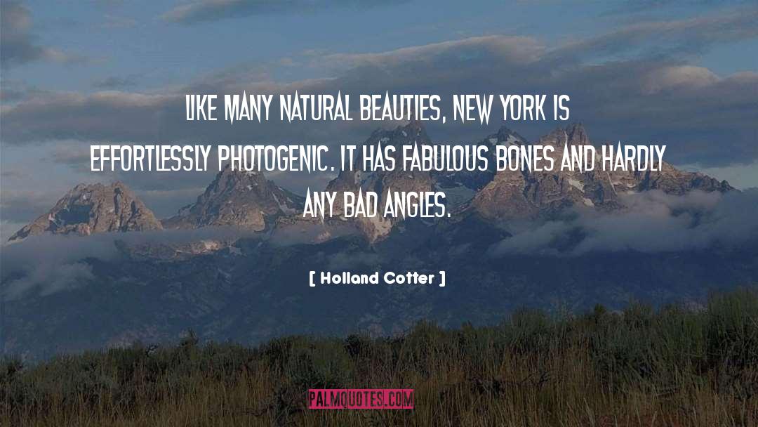 Holland Cotter Quotes: Like many natural beauties, New