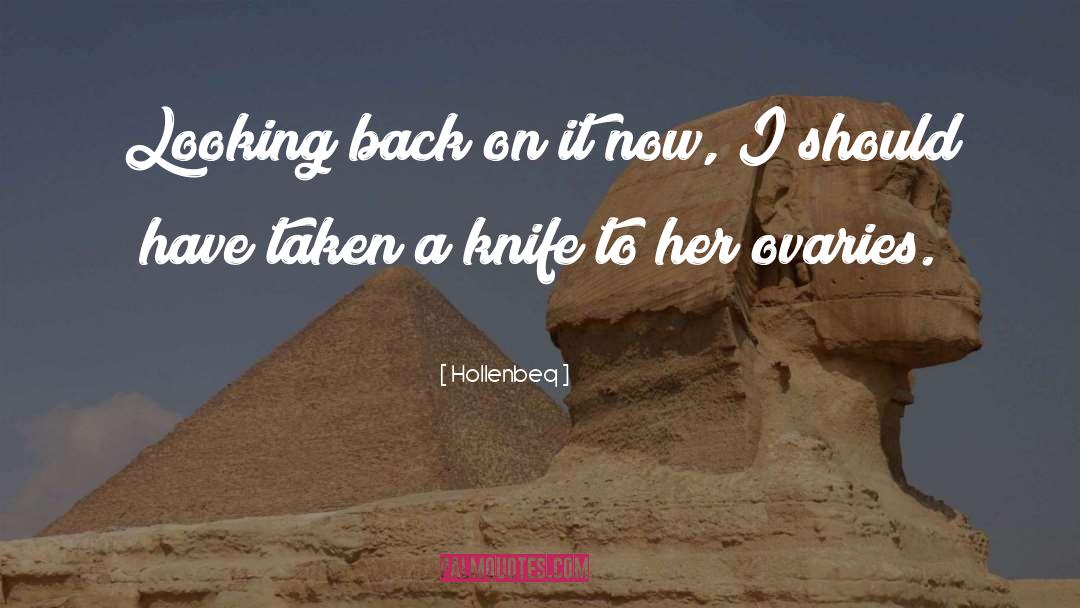 Hollenbeq Quotes: Looking back on it now,