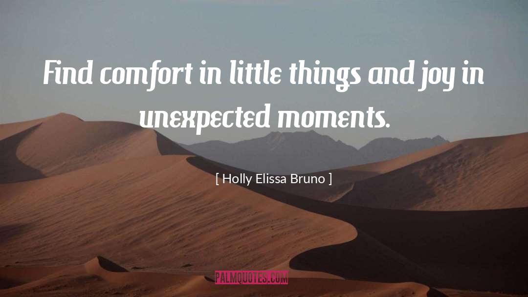 Holly Elissa Bruno Quotes: Find comfort in little things