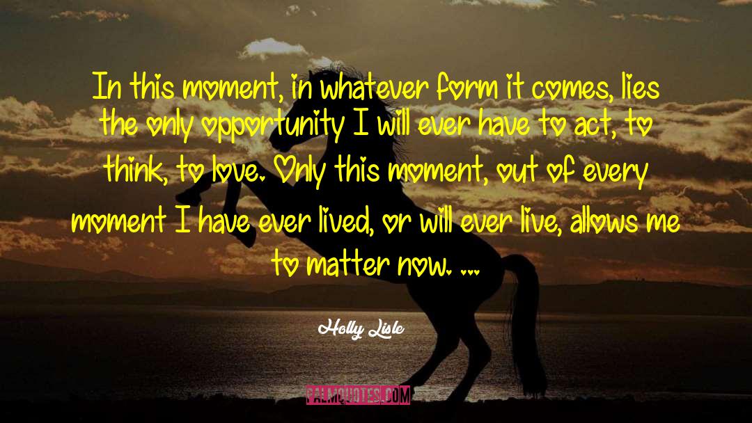 Holly Lisle Quotes: In this moment, in whatever