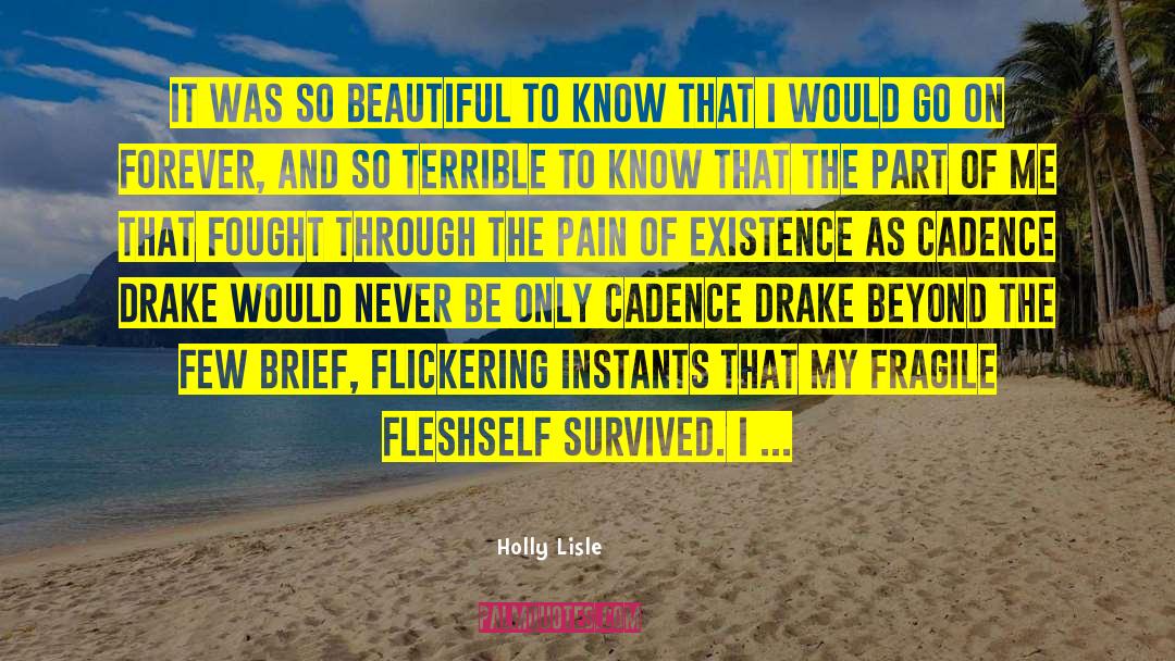 Holly Lisle Quotes: It was so beautiful to