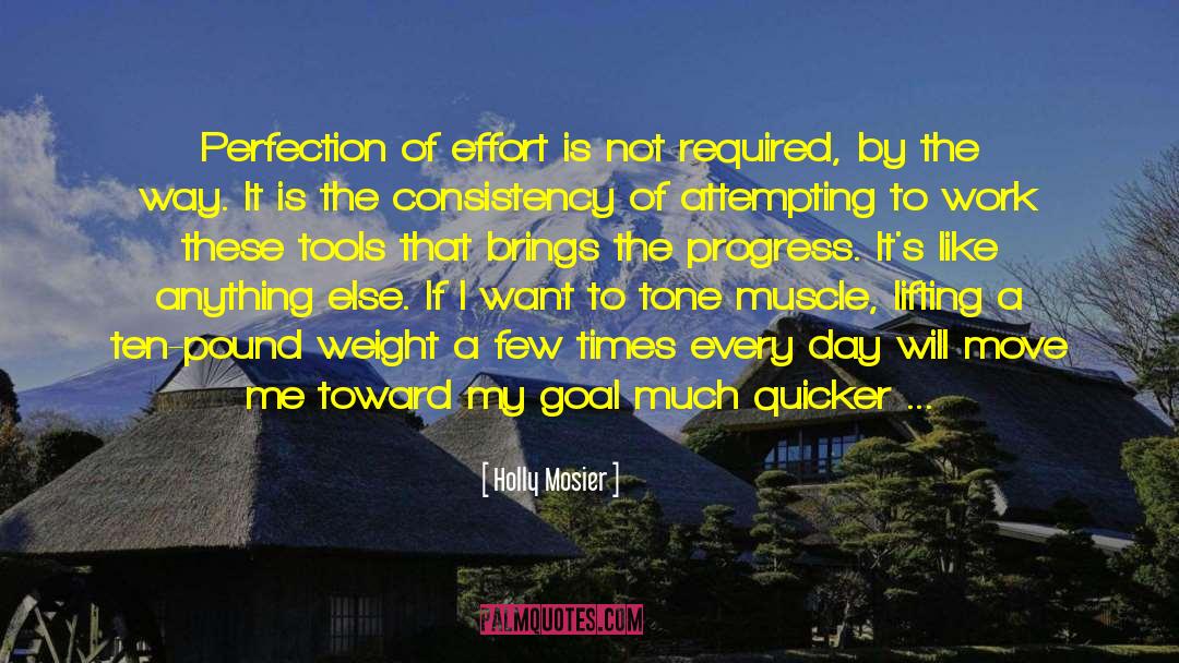Holly Mosier Quotes: Perfection of effort is not