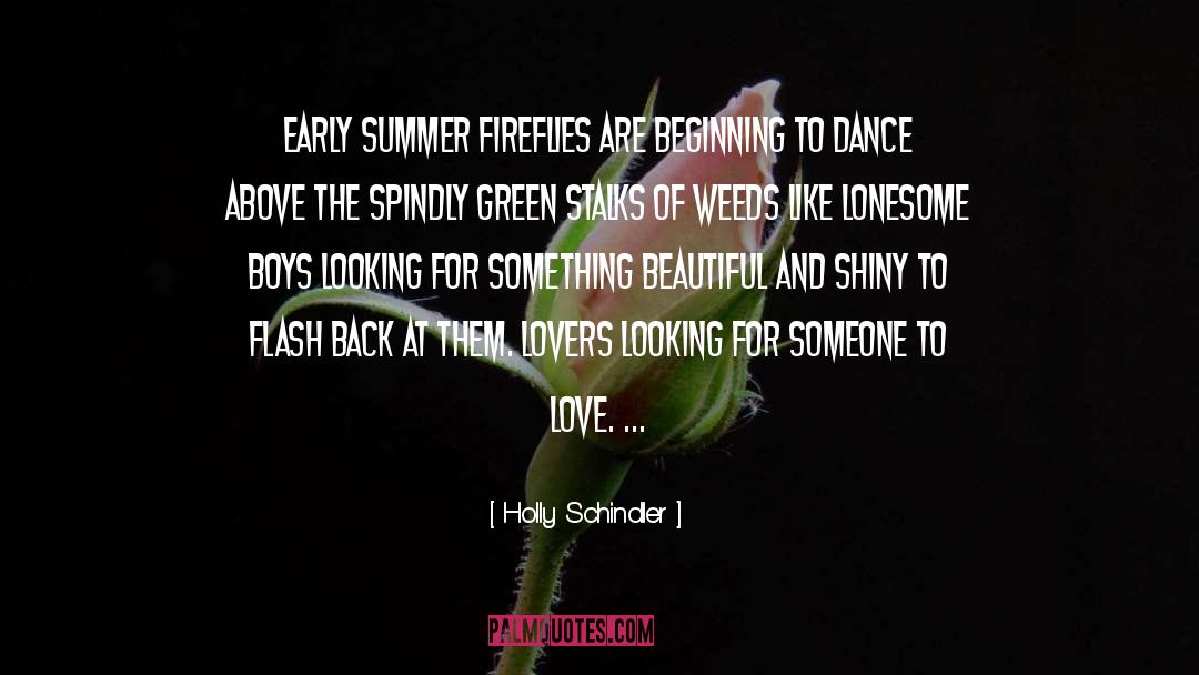 Holly Schindler Quotes: Early summer fireflies are beginning