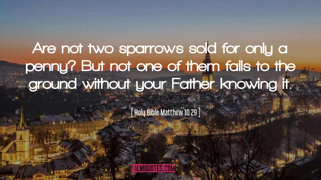 Holy Bible Matthew 10 29 Quotes: Are not two sparrows sold