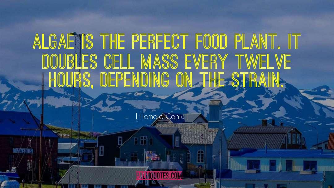 Homaro Cantu Quotes: Algae is the perfect food