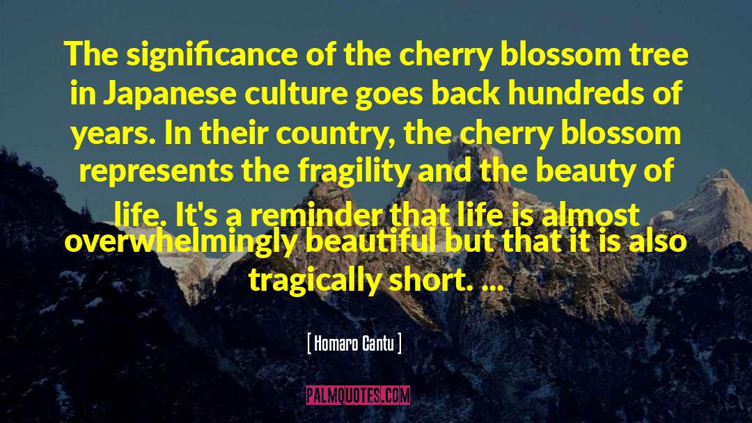 Homaro Cantu Quotes: The significance of the cherry