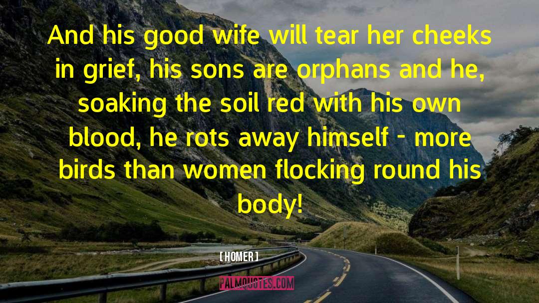 Homer Quotes: And his good wife will