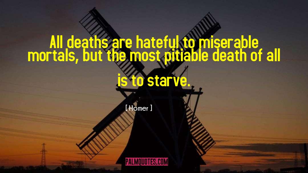 Homer Quotes: All deaths are hateful to