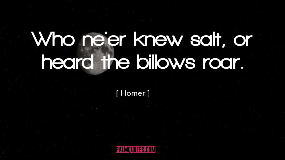 Homer Quotes: Who ne'er knew salt, or