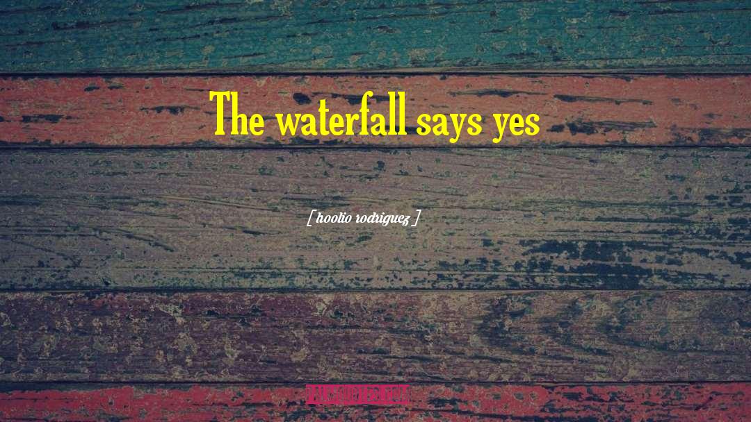 Hoolio Rodriguez Quotes: The waterfall says yes