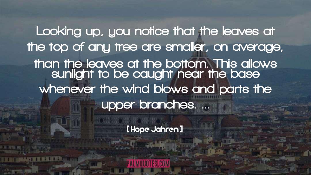 Hope Jahren Quotes: Looking up, you notice that