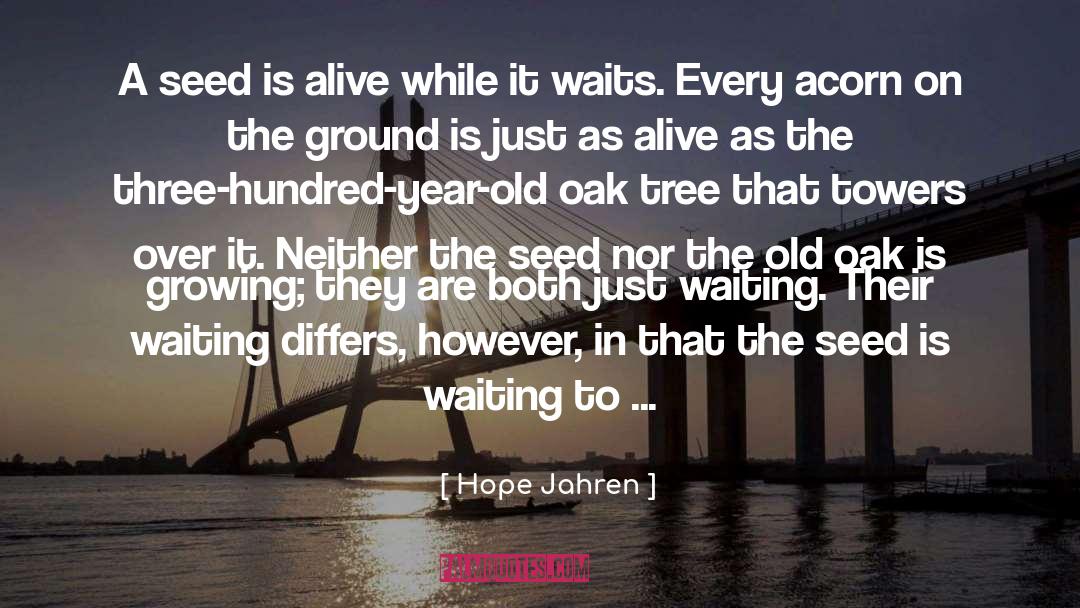 Hope Jahren Quotes: A seed is alive while