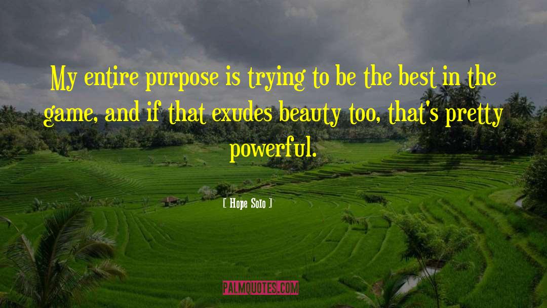 Hope Solo Quotes: My entire purpose is trying