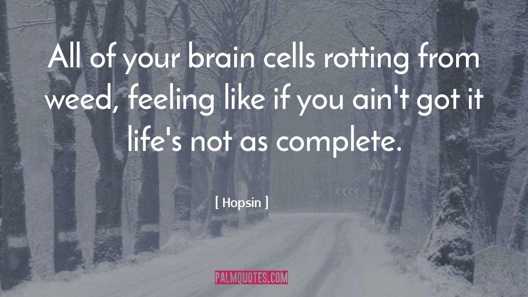 Hopsin Quotes: All of your brain cells