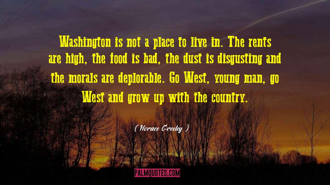 Horace Greeley Quotes: Washington is not a place