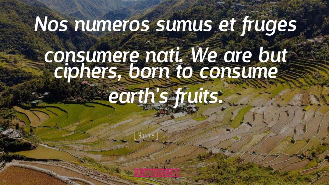 Horace Quotes: Nos numeros sumus et fruges