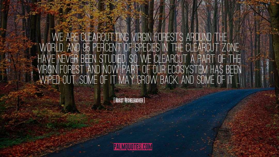 Horst Rechelbacher Quotes: We are clearcutting virgin forests