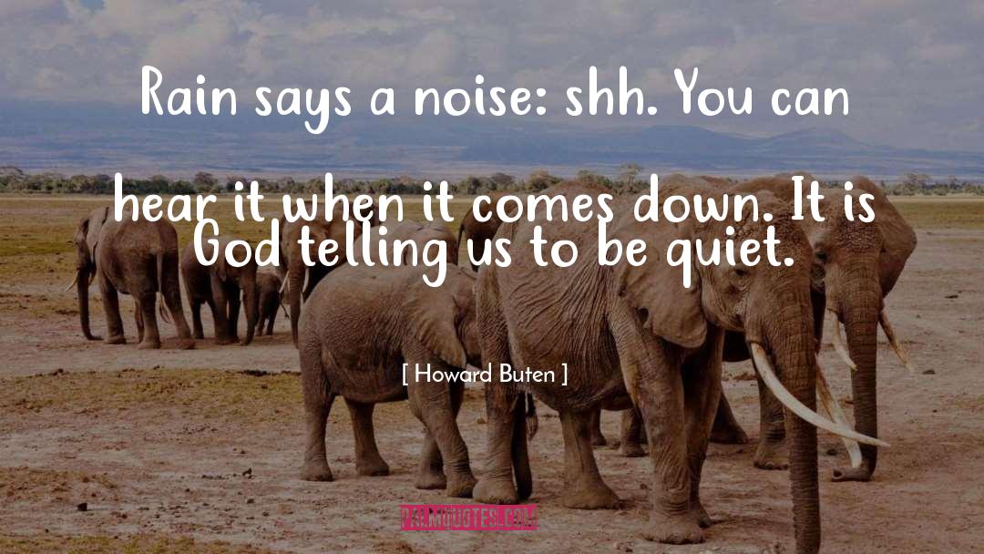 Howard Buten Quotes: Rain says a noise: shh.