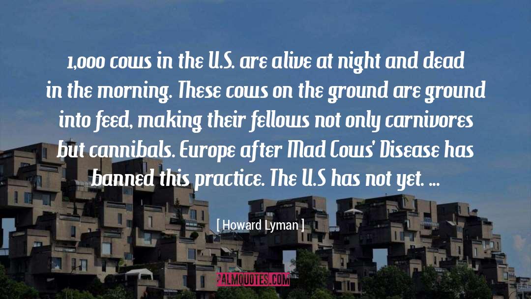 Howard Lyman Quotes: 1,000 cows in the U.S.