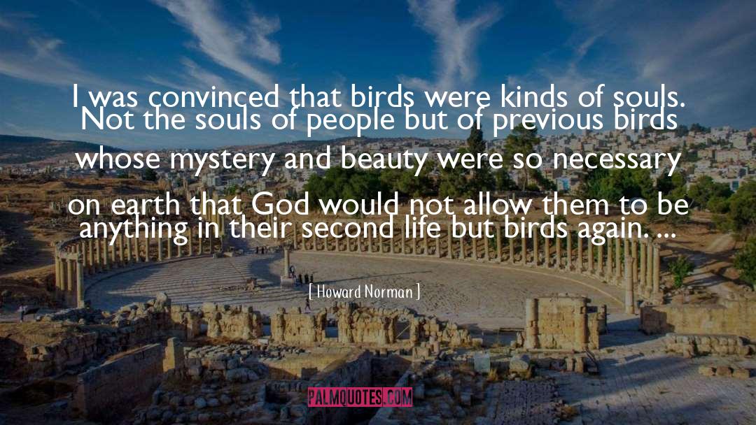 Howard Norman Quotes: I was convinced that birds