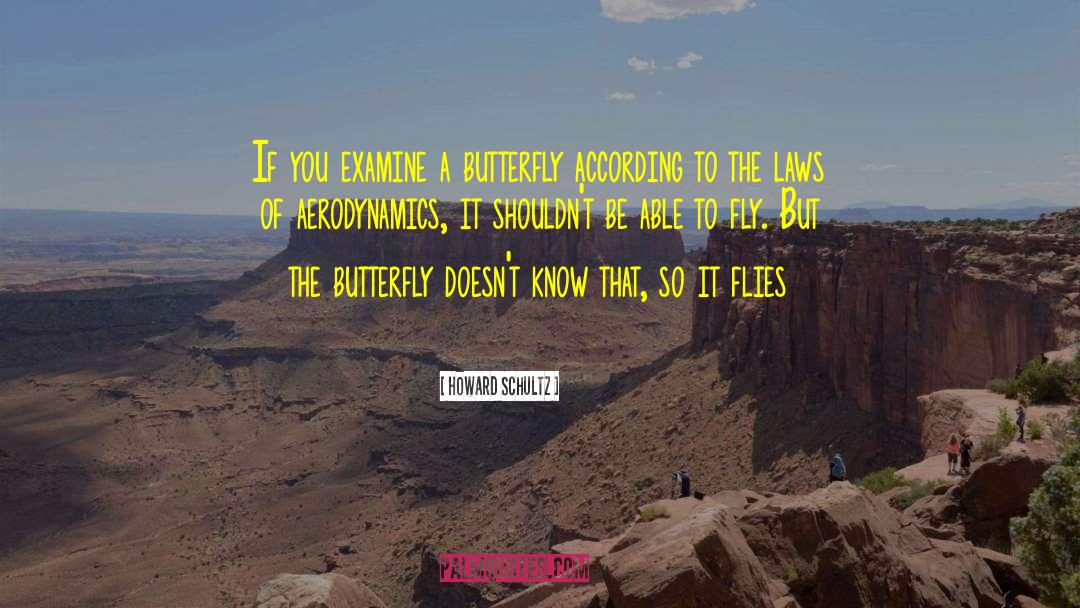 Howard Schultz Quotes: If you examine a butterfly