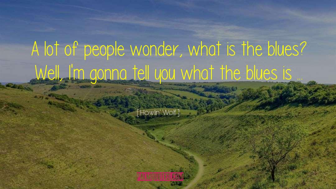 Howlin' Wolf Quotes: A lot of people wonder,