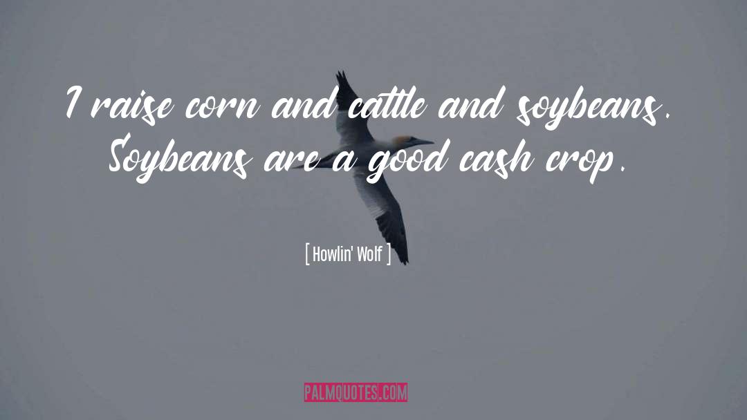 Howlin' Wolf Quotes: I raise corn and cattle