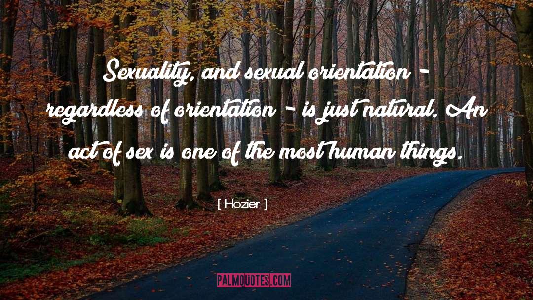 Hozier Quotes: Sexuality, and sexual orientation -