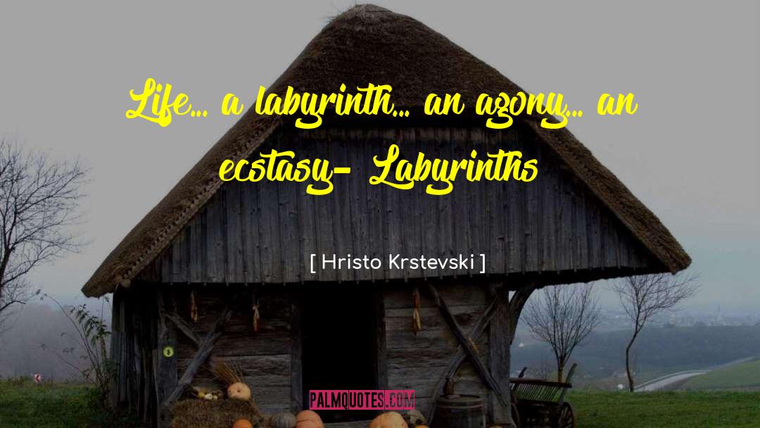 Hristo Krstevski Quotes: Life... a labyrinth... an agony...