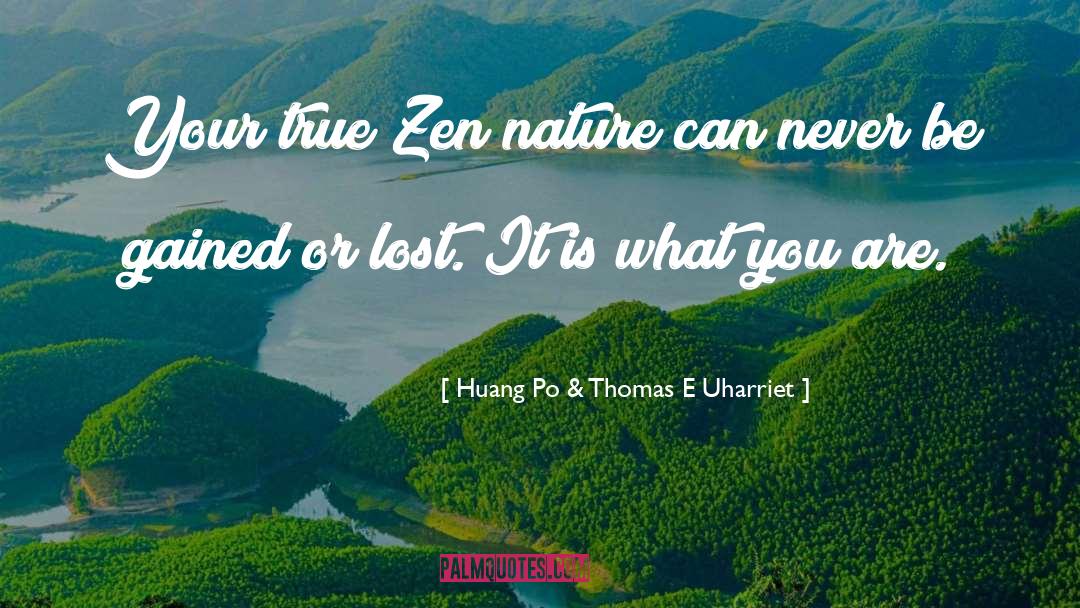 Huang Po & Thomas E Uharriet Quotes: Your true Zen nature can