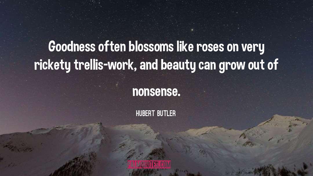 Hubert Butler Quotes: Goodness often blossoms like roses