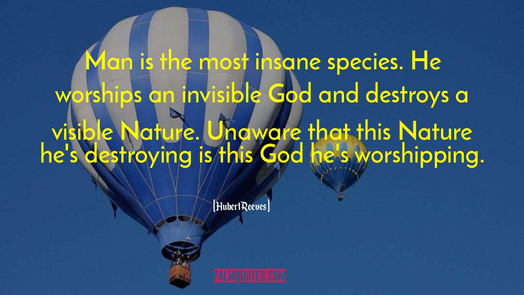 Hubert Reeves Quotes: Man is the most insane