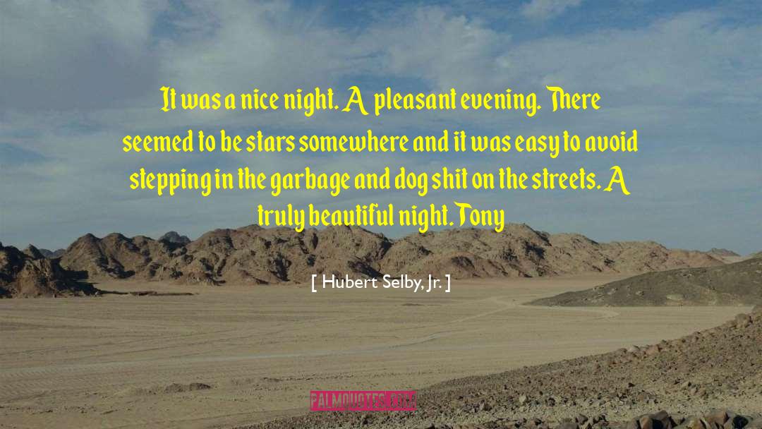 Hubert Selby, Jr. Quotes: It was a nice night.