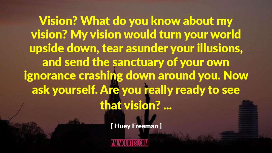Huey Freeman Quotes: Vision? What do you know