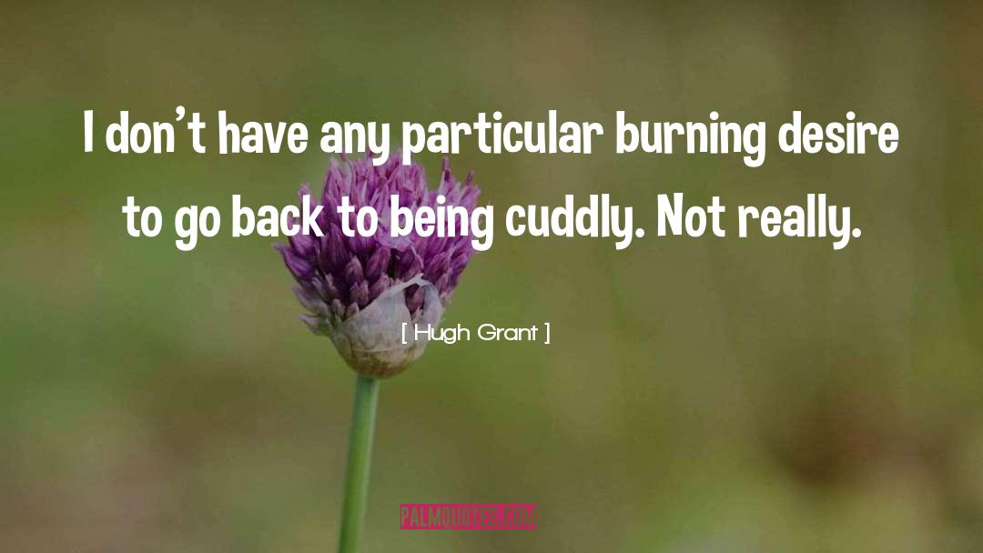 Hugh Grant Quotes: I don't have any particular