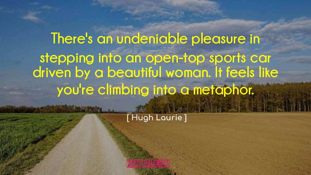 Hugh Laurie Quotes: There's an undeniable pleasure in