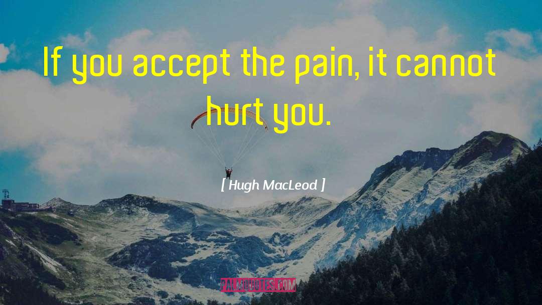 Hugh MacLeod Quotes: If you accept the pain,