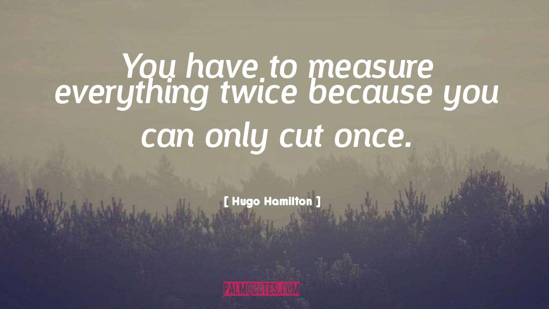 Hugo Hamilton Quotes: You have to measure everything