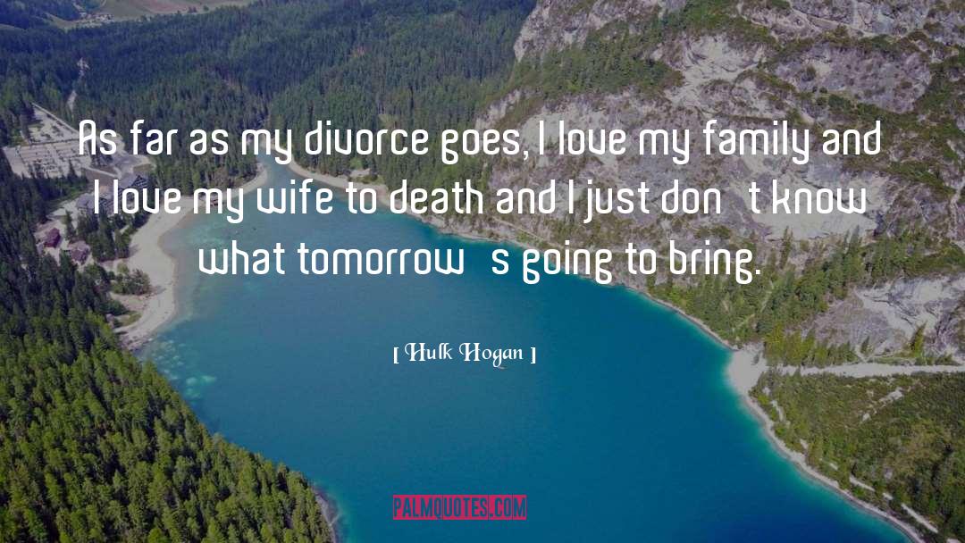 Hulk Hogan Quotes: As far as my divorce