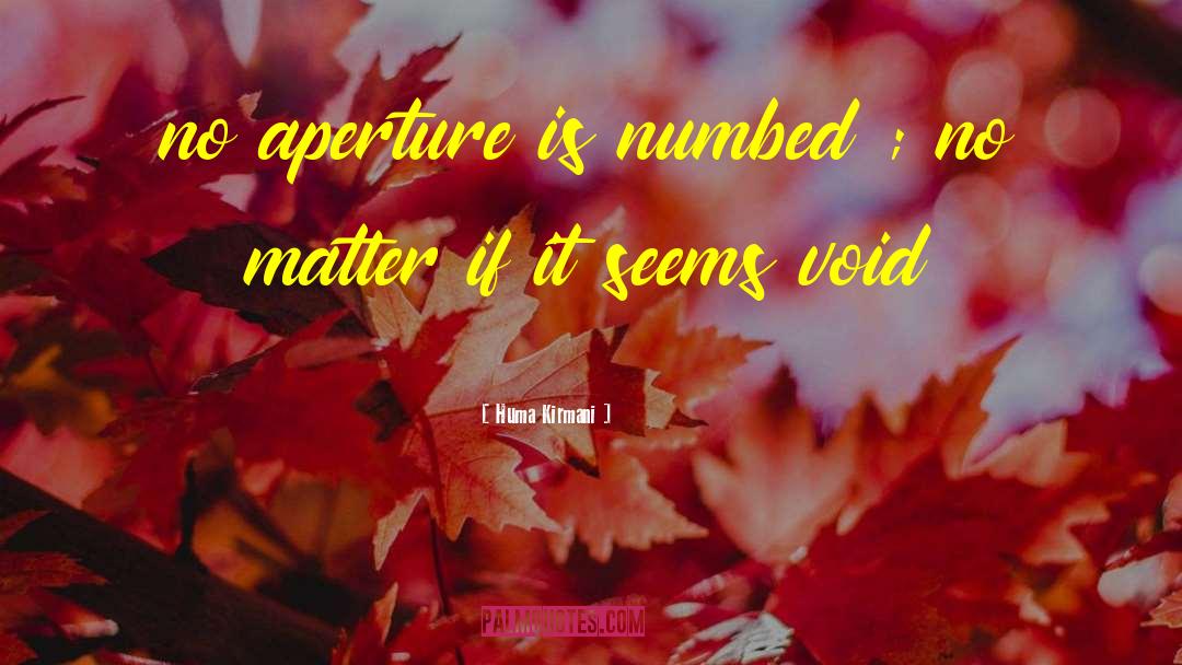 Huma Kirmani Quotes: no aperture is numbed ;
