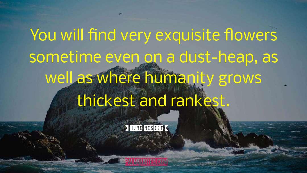 Hume Nisbet Quotes: You will find very exquisite