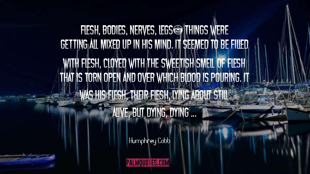 Humphrey Cobb Quotes: Flesh, bodies, nerves, legs… things