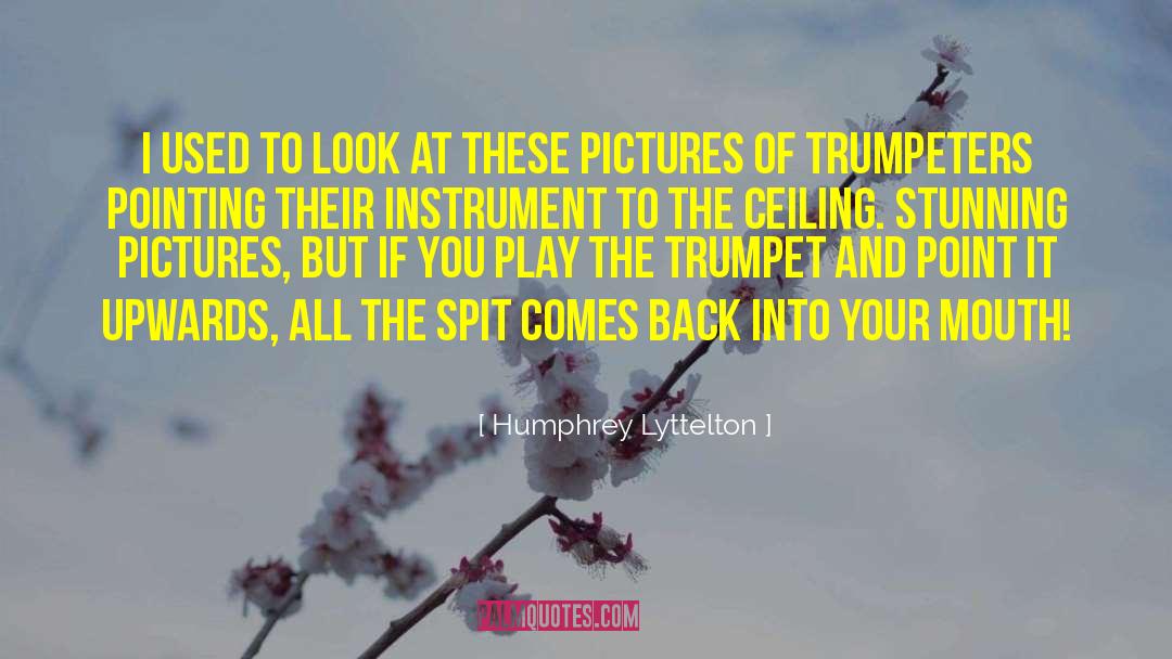 Humphrey Lyttelton Quotes: I used to look at