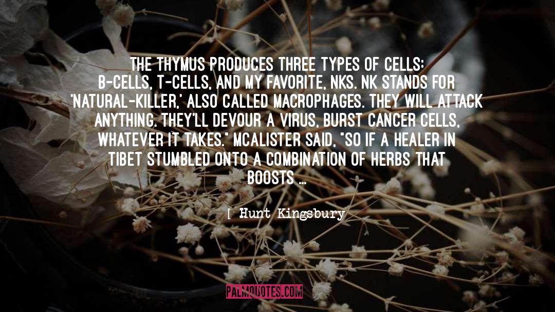 Hunt Kingsbury Quotes: The thymus produces three types