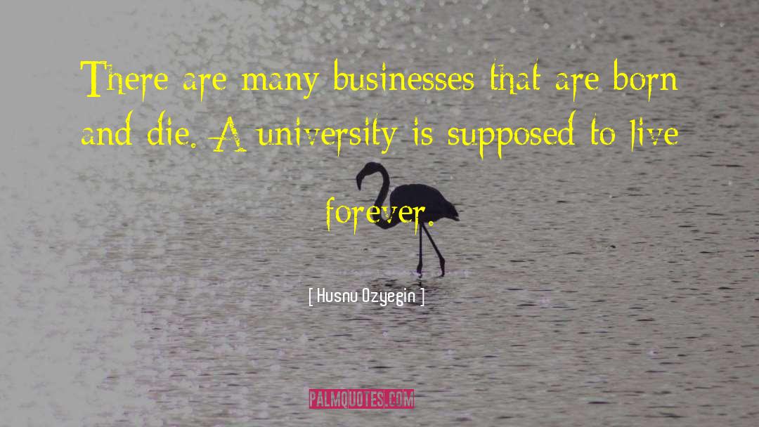 Husnu Ozyegin Quotes: There are many businesses that