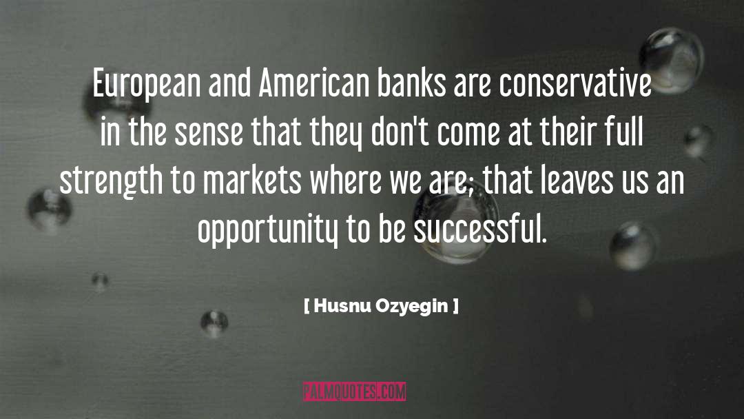 Husnu Ozyegin Quotes: European and American banks are