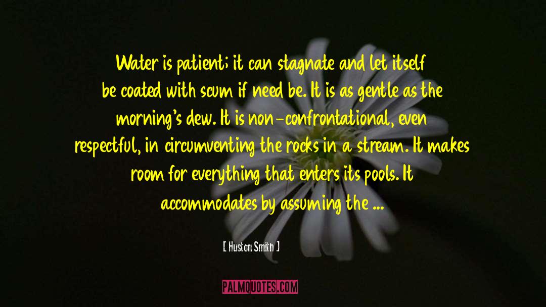 Huston Smith Quotes: Water is patient; it can